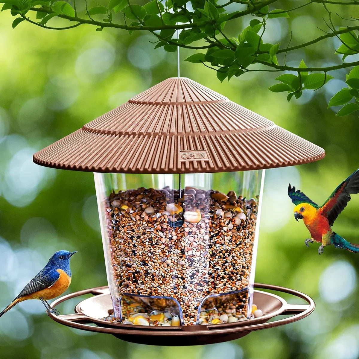 Bird Feeder – Hanging Outdoor Bird Feeder for Garden, Balcony & Yard